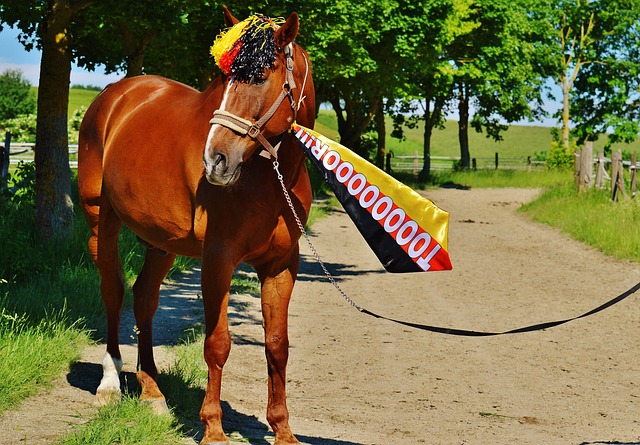 队记坚信勇士会有重磅交易，波杰姆斯基将被摆上货架