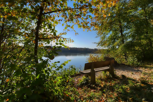 上海全运名单：一队边攻太差，难进四强！二队要夺冠看二传表现